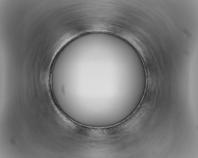 X0000110890901200907021515