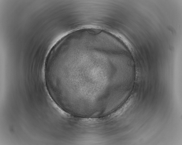 X0000110890902200907021515