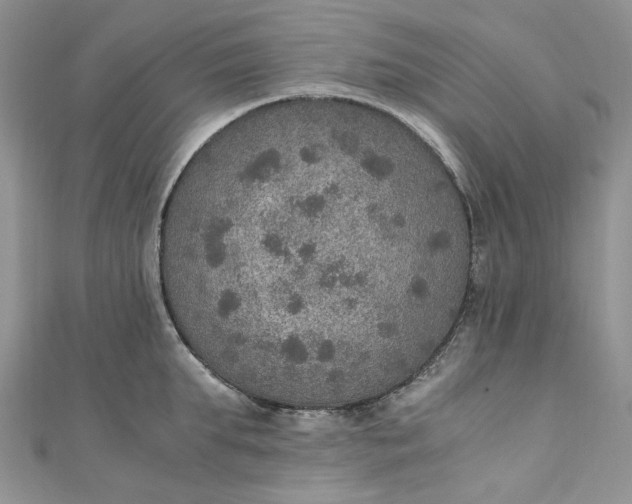 X0000110890903200907021515