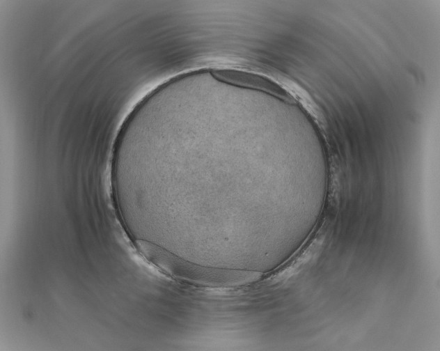 X0000110890904200907021515