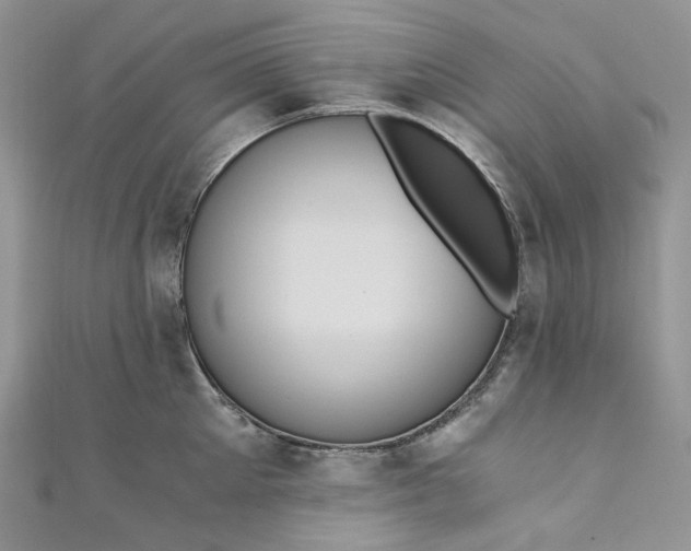 X0000110890905200907021515