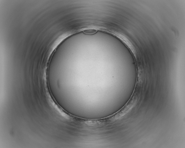 X0000110890906200907021515