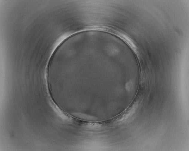 X0000110890907200907021515