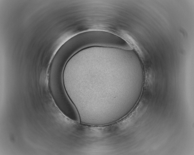 X0000110890908200907021515