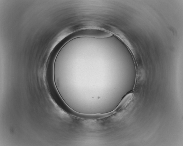 X0000110890909200907021515