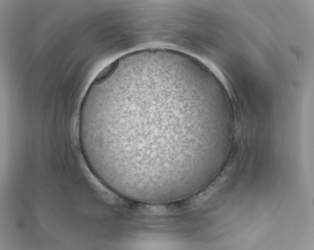 X0000110890911200907021515