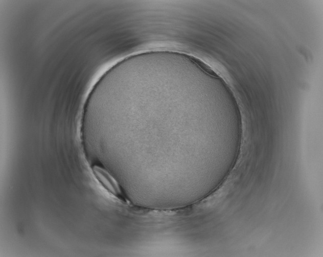 X0000110890912200907021515