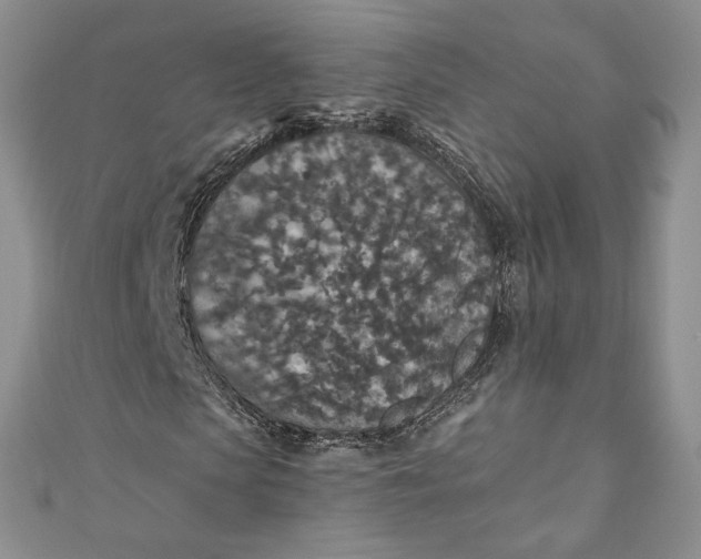 X0000110890913200907021514