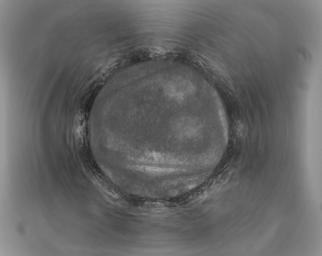 X0000110890914200907021514