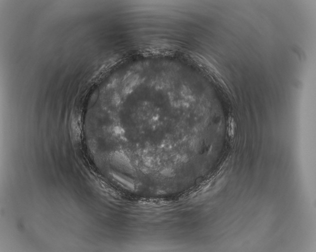 X0000110890915200907021514