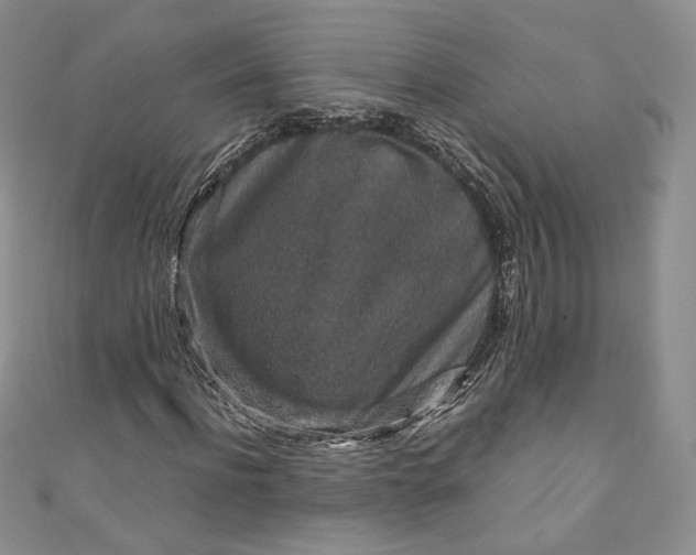 X0000110890916200907021514