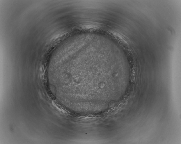 X0000110890917200907021514