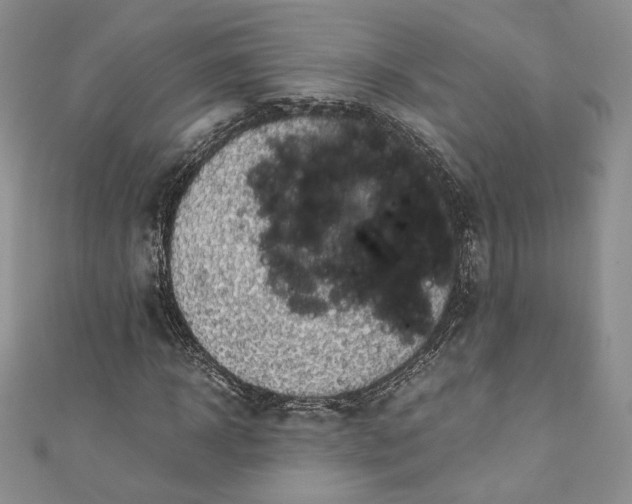 X0000110890918200907021514