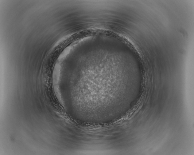 X0000110890919200907021514