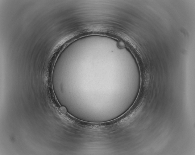 X0000110890922200907021514