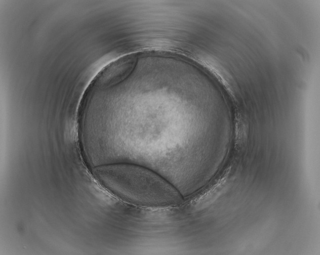 X0000110890924200907021514