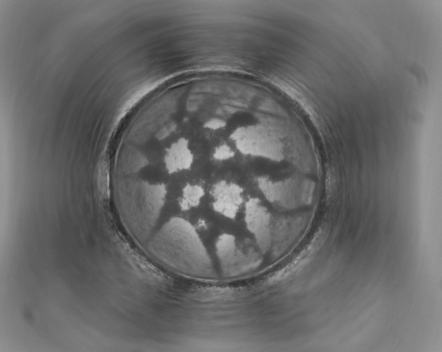 X0000110890925200907021514