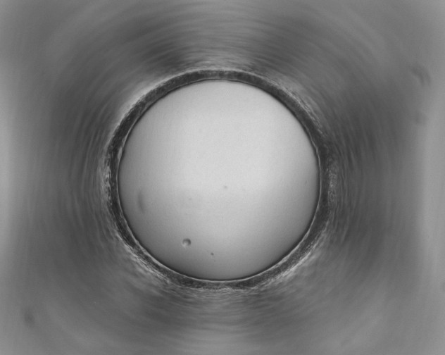 X0000110890926200907021514