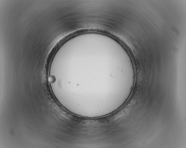 X0000110890927200907021514