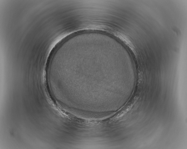 X0000110890928200907021514