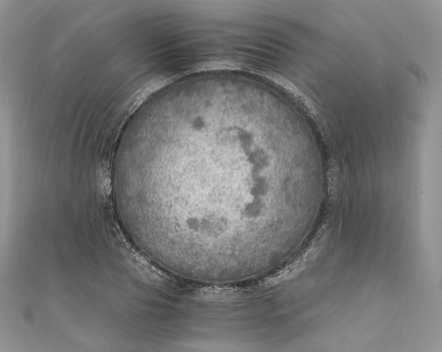 X0000110890929200907021514