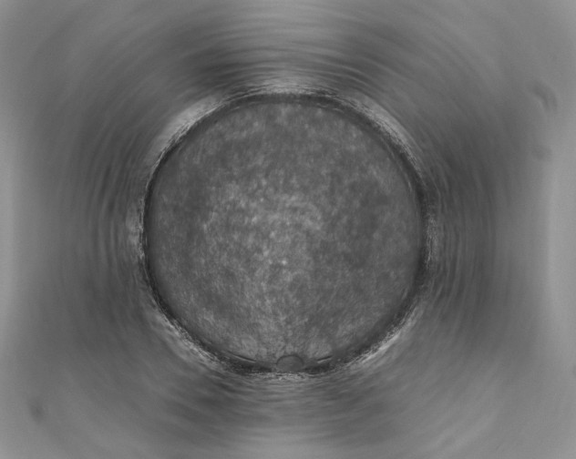 X0000110890930200907021514