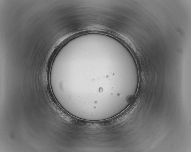 X0000110890931200907021514