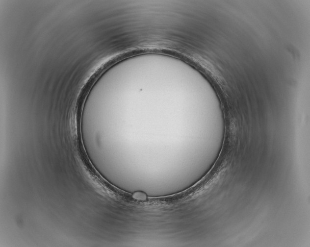 X0000110890934200907021514