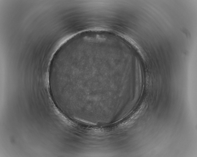 X0000110890935200907021514