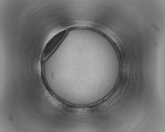 X0000110890936200907021514