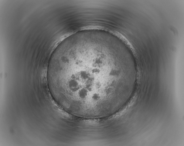 X0000110890937200907021514