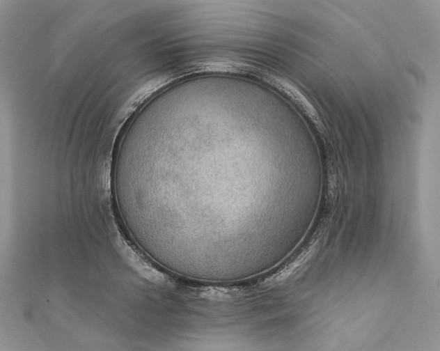 X0000110890938200907021514