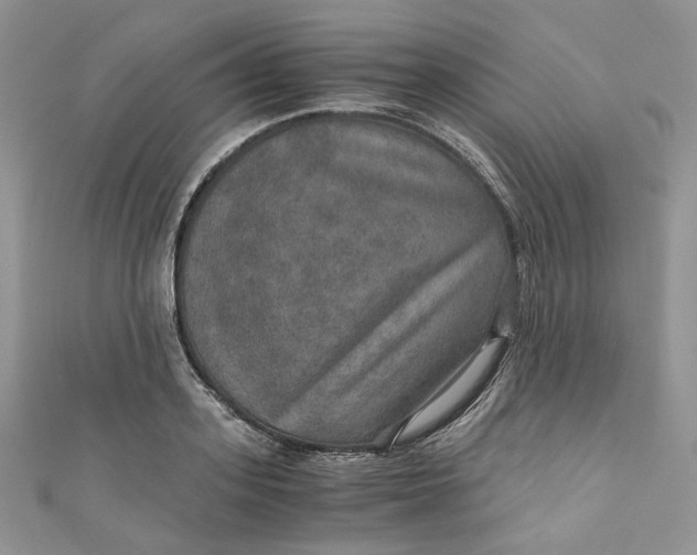 X0000110890939200907021514