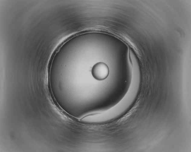 X0000110890940200907021514