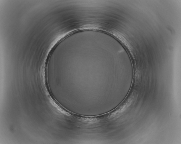 X0000110890941200907021514