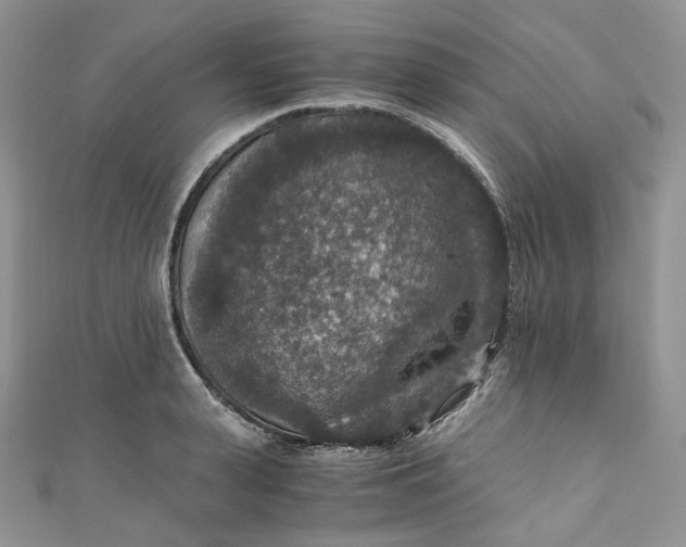 X0000110890943200907021514