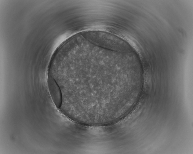 X0000110890944200907021514