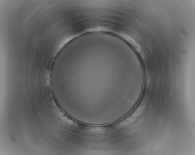 X0000110890945200907021514