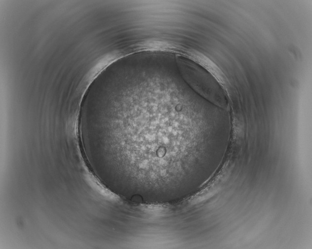 X0000110890946200907021514