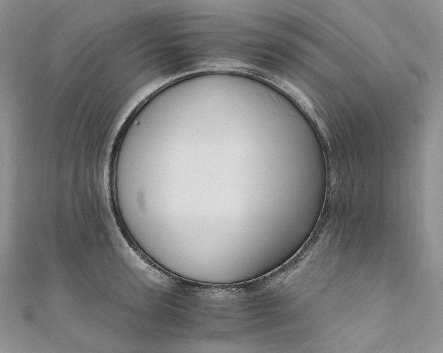 X0000110890947200907021514