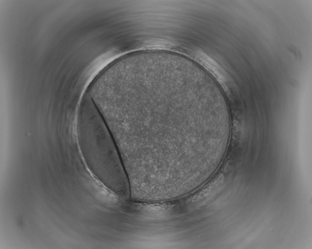 X0000110890948200907021514