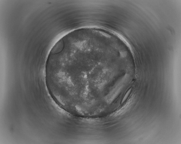 X0000110890951200907021514