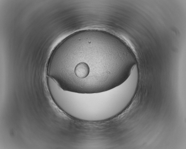 X0000110890952200907021514