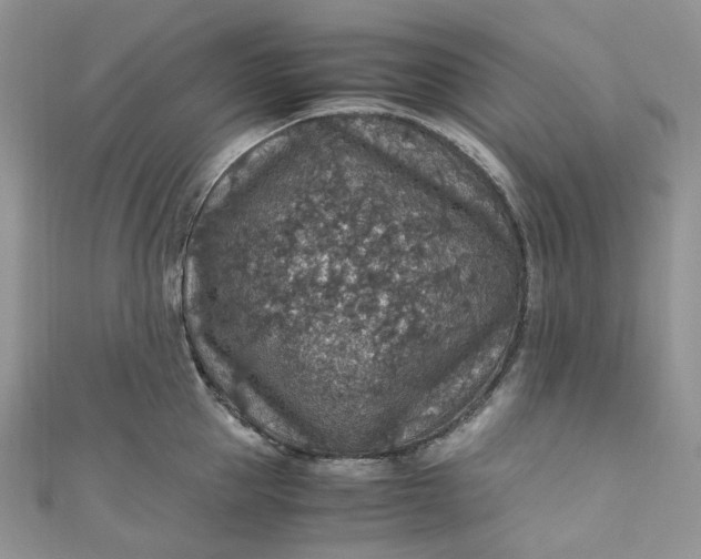 X0000110890953200907021514