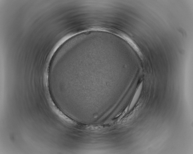 X0000110890955200907021514