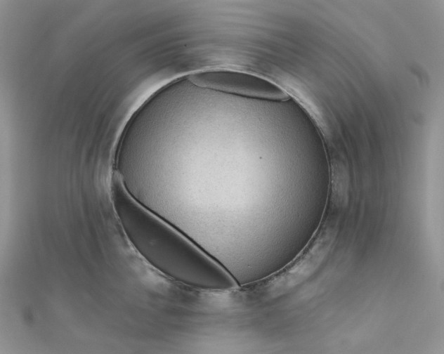 X0000110890956200907021514