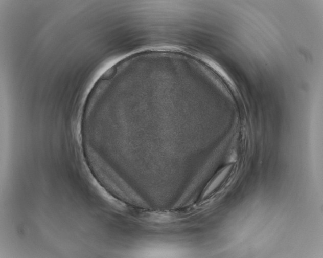 X0000110890959200907021515