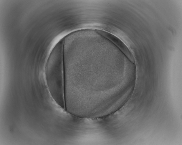 X0000110890960200907021515