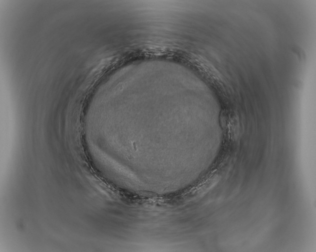 X0000110890961200907021514