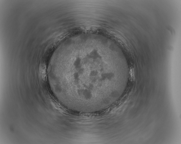 X0000110890963200907021514